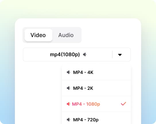3. Choose Your Format